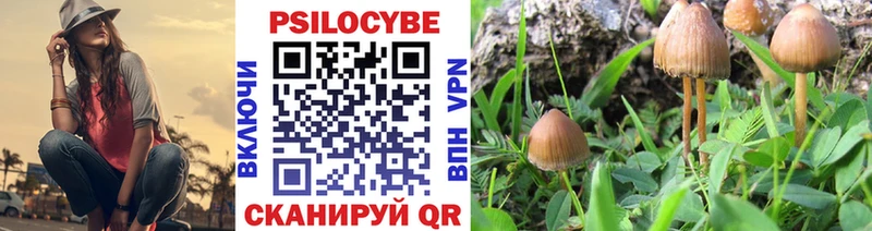 купить наркоту  Костомукша  Галлюциногенные грибы MAGIC MUSHROOMS 